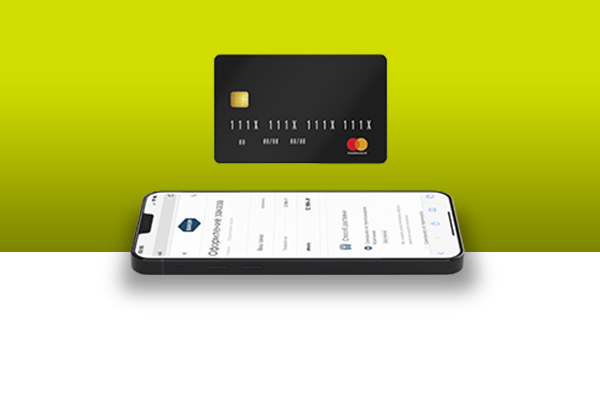 Варианты оплаты товаров на сайте